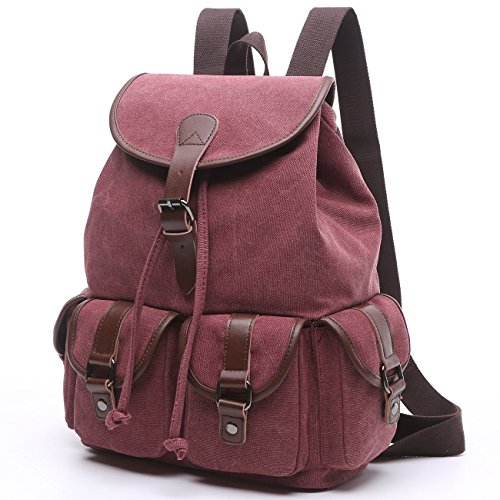 BAOSHA LP-13 Vintage Canvas Casual Daypack Laptop Backpack College Campus School Bags for Women Ladies Girls (Red)